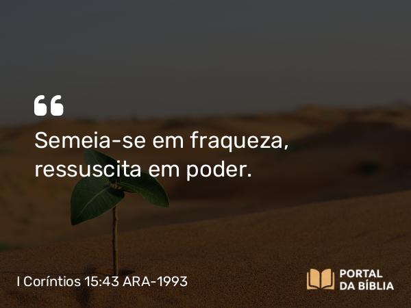 I Coríntios 15:43 ARA-1993 - Semeia-se em fraqueza, ressuscita em poder.