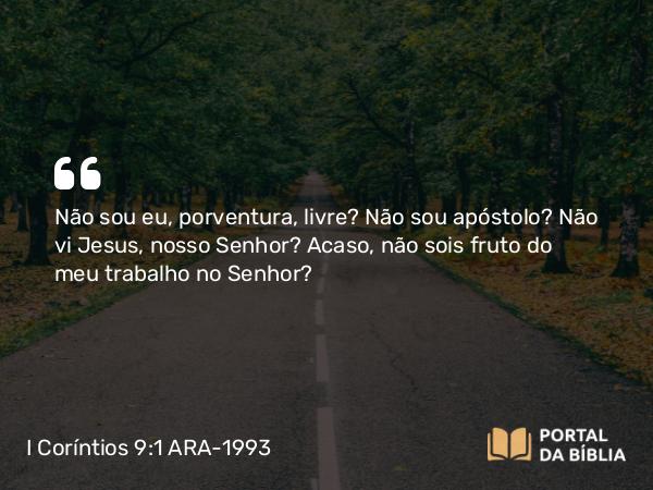 I Coríntios 9:1 ARA-1993 - Não sou eu, porventura, livre? Não sou apóstolo? Não vi Jesus, nosso Senhor? Acaso, não sois fruto do meu trabalho no Senhor?