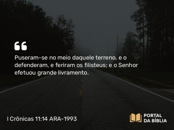 I Crônicas 11:14 ARA-1993 - Puseram-se no meio daquele terreno, e o defenderam, e feriram os filisteus; e o Senhor efetuou grande livramento.