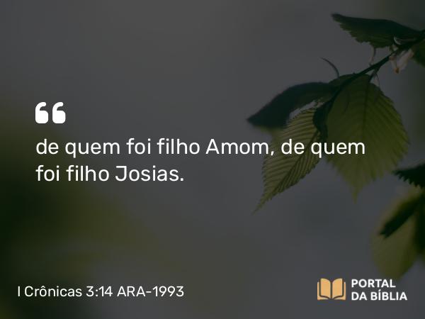 I Crônicas 3:14 ARA-1993 - de quem foi filho Amom, de quem foi filho Josias.