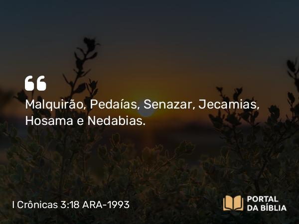 I Crônicas 3:18 ARA-1993 - Malquirão, Pedaías, Senazar, Jecamias, Hosama e Nedabias.