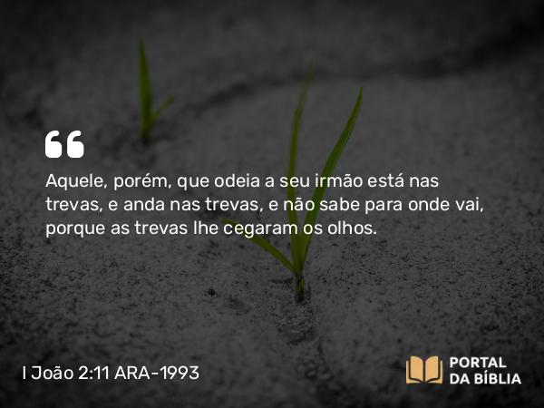 I João 2:11 ARA-1993 - Aquele, porém, que odeia a seu irmão está nas trevas, e anda nas trevas, e não sabe para onde vai, porque as trevas lhe cegaram os olhos.