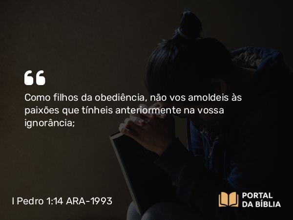 I Pedro 1:14-15 ARA-1993 - Como filhos da obediência, não vos amoldeis às paixões que tínheis anteriormente na vossa ignorância;