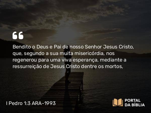 I Pedro 1:3 ARA-1993 - Bendito o Deus e Pai de nosso Senhor Jesus Cristo, que, segundo a sua muita misericórdia, nos regenerou para uma viva esperança, mediante a ressurreição de Jesus Cristo dentre os mortos,