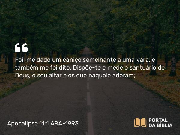 Apocalipse 11:1 ARA-1993 - Foi-me dado um caniço semelhante a uma vara, e também me foi dito: Dispõe-te e mede o santuário de Deus, o seu altar e os que naquele adoram;