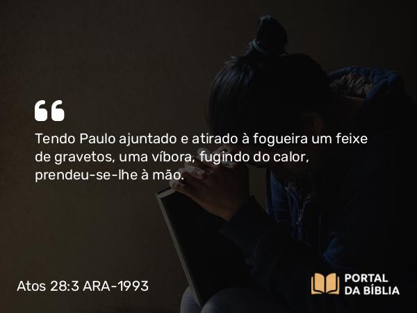 Atos 28:3 ARA-1993 - Tendo Paulo ajuntado e atirado à fogueira um feixe de gravetos, uma víbora, fugindo do calor, prendeu-se-lhe à mão.