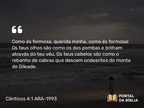 Cânticos 4:1 ARA-1993 - Como és formosa, querida minha, como és formosa! Os teus olhos são como os das pombas e brilham através do teu véu. Os teus cabelos são como o rebanho de cabras que descem ondeantes do monte de Gileade.