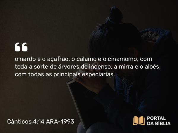 Cânticos 4:14 ARA-1993 - o nardo e o açafrão, o cálamo e o cinamomo, com toda a sorte de árvores de incenso, a mirra e o aloés, com todas as principais especiarias.