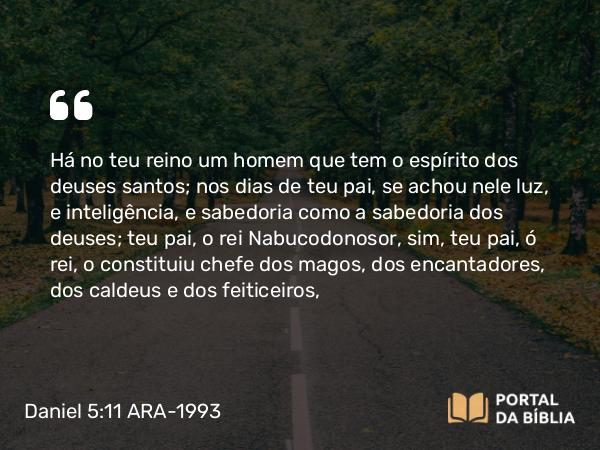 Daniel 5:11 ARA-1993 - Há no teu reino um homem que tem o espírito dos deuses santos; nos dias de teu pai, se achou nele luz, e inteligência, e sabedoria como a sabedoria dos deuses; teu pai, o rei Nabucodonosor, sim, teu pai, ó rei, o constituiu chefe dos magos, dos encantadores, dos caldeus e dos feiticeiros,