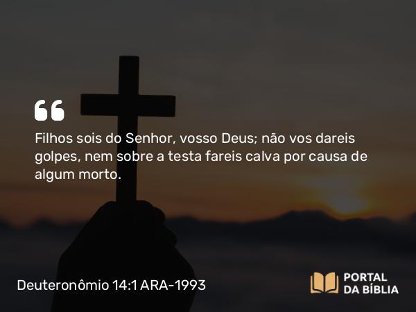 Deuteronômio 14:1 ARA-1993 - Filhos sois do Senhor, vosso Deus; não vos dareis golpes, nem sobre a testa fareis calva por causa de algum morto.