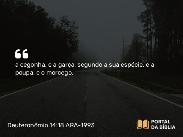 Deuteronômio 14:18 ARA-1993 - a cegonha, e a garça, segundo a sua espécie, e a poupa, e o morcego.