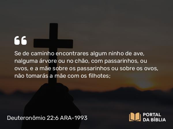 Deuteronômio 22:6 ARA-1993 - Se de caminho encontrares algum ninho de ave, nalguma árvore ou no chão, com passarinhos, ou ovos, e a mãe sobre os passarinhos ou sobre os ovos, não tomarás a mãe com os filhotes;