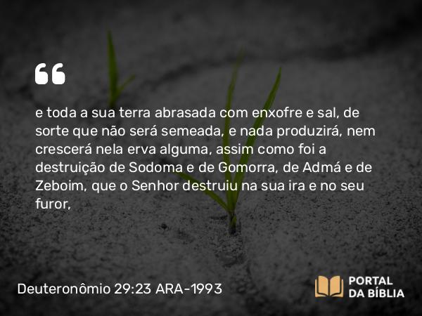 Deuteronômio 29:23 ARA-1993 - e toda a sua terra abrasada com enxofre e sal, de sorte que não será semeada, e nada produzirá, nem crescerá nela erva alguma, assim como foi a destruição de Sodoma e de Gomorra, de Admá e de Zeboim, que o Senhor destruiu na sua ira e no seu furor,