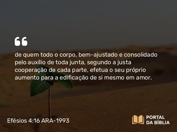 Efésios 4:16 ARA-1993 - de quem todo o corpo, bem-ajustado e consolidado pelo auxílio de toda junta, segundo a justa cooperação de cada parte, efetua o seu próprio aumento para a edificação de si mesmo em amor.