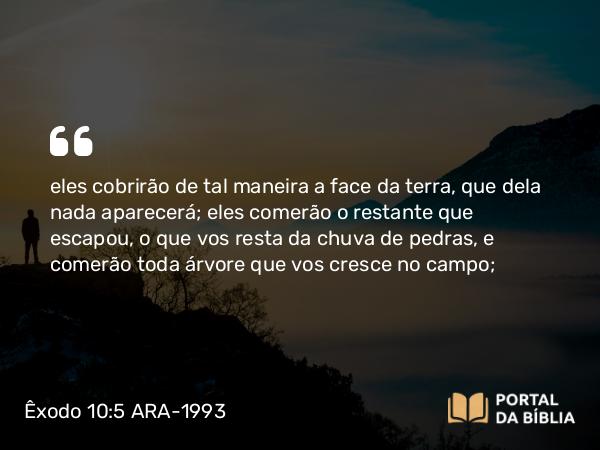 Êxodo 10:5 ARA-1993 - eles cobrirão de tal maneira a face da terra, que dela nada aparecerá; eles comerão o restante que escapou, o que vos resta da chuva de pedras, e comerão toda árvore que vos cresce no campo;