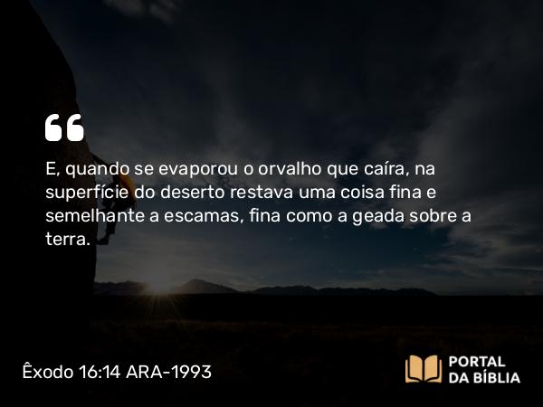 Êxodo 16:14-15 ARA-1993 - E, quando se evaporou o orvalho que caíra, na superfície do deserto restava uma coisa fina e semelhante a escamas, fina como a geada sobre a terra.