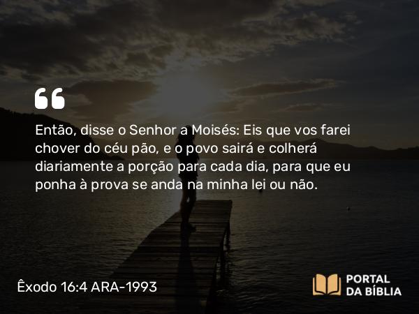 Êxodo 16:4 ARA-1993 - Então, disse o Senhor a Moisés: Eis que vos farei chover do céu pão, e o povo sairá e colherá diariamente a porção para cada dia, para que eu ponha à prova se anda na minha lei ou não.