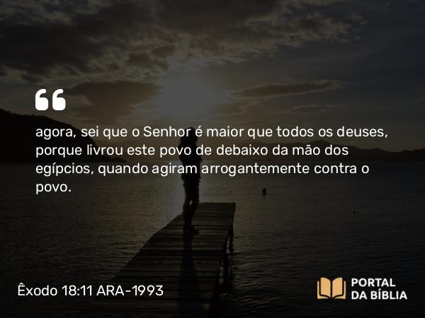 Êxodo 18:11 ARA-1993 - agora, sei que o Senhor é maior que todos os deuses, porque livrou este povo de debaixo da mão dos egípcios, quando agiram arrogantemente contra o povo.