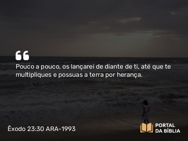 Êxodo 23:30 ARA-1993 - Pouco a pouco, os lançarei de diante de ti, até que te multipliques e possuas a terra por herança.