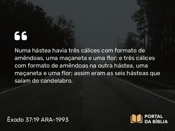 Êxodo 37:19 ARA-1993 - Numa hástea havia três cálices com formato de amêndoas, uma maçaneta e uma flor; e três cálices com formato de amêndoas na outra hástea, uma maçaneta e uma flor; assim eram as seis hásteas que saíam do candelabro.