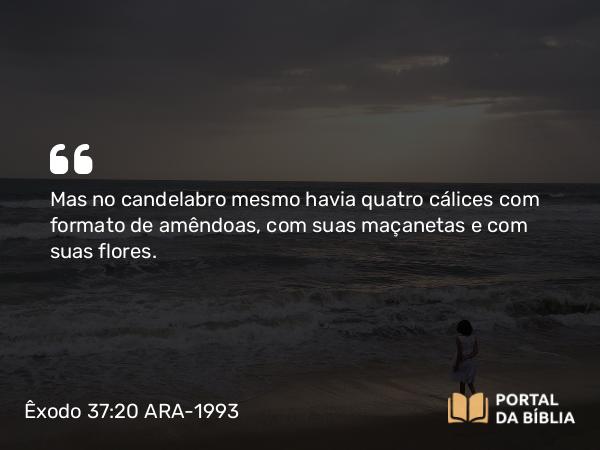 Êxodo 37:20 ARA-1993 - Mas no candelabro mesmo havia quatro cálices com formato de amêndoas, com suas maçanetas e com suas flores.