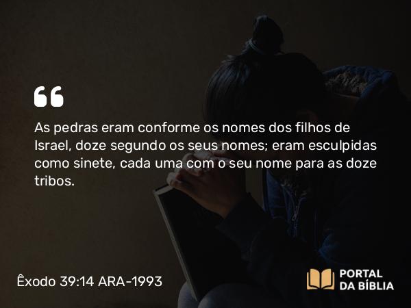 Êxodo 39:14 ARA-1993 - As pedras eram conforme os nomes dos filhos de Israel, doze segundo os seus nomes; eram esculpidas como sinete, cada uma com o seu nome para as doze tribos.