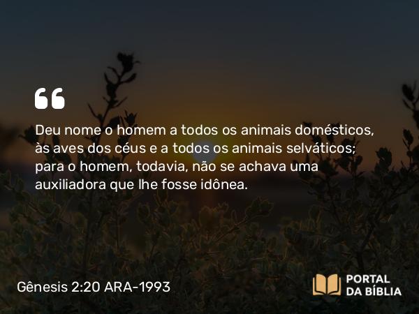 Gênesis 2:20 ARA-1993 - Deu nome o homem a todos os animais domésticos, às aves dos céus e a todos os animais selváticos; para o homem, todavia, não se achava uma auxiliadora que lhe fosse idônea.