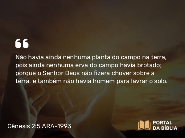 Gênesis 2:5 ARA-1993 - Não havia ainda nenhuma planta do campo na terra, pois ainda nenhuma erva do campo havia brotado; porque o Senhor Deus não fizera chover sobre a terra, e também não havia homem para lavrar o solo.