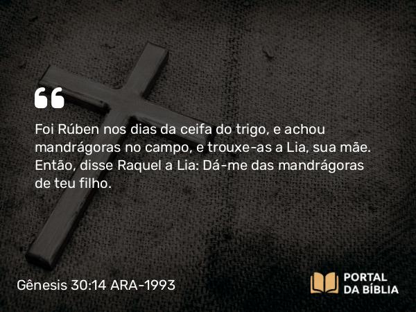 Gênesis 30:14 ARA-1993 - Foi Rúben nos dias da ceifa do trigo, e achou mandrágoras no campo, e trouxe-as a Lia, sua mãe. Então, disse Raquel a Lia: Dá-me das mandrágoras de teu filho.