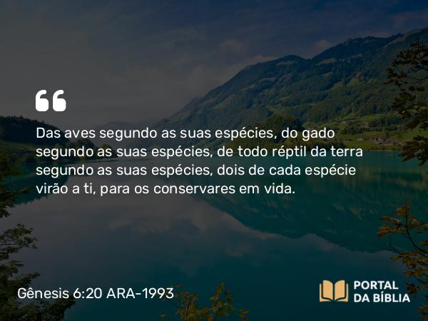 Gênesis 6:20 ARA-1993 - Das aves segundo as suas espécies, do gado segundo as suas espécies, de todo réptil da terra segundo as suas espécies, dois de cada espécie virão a ti, para os conservares em vida.