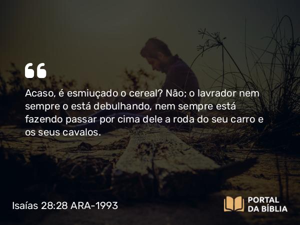 Isaías 28:28 ARA-1993 - Acaso, é esmiuçado o cereal? Não; o lavrador nem sempre o está debulhando, nem sempre está fazendo passar por cima dele a roda do seu carro e os seus cavalos.