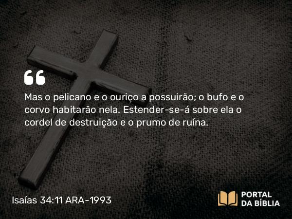 Isaías 34:11 ARA-1993 - Mas o pelicano e o ouriço a possuirão; o bufo e o corvo habitarão nela. Estender-se-á sobre ela o cordel de destruição e o prumo de ruína.