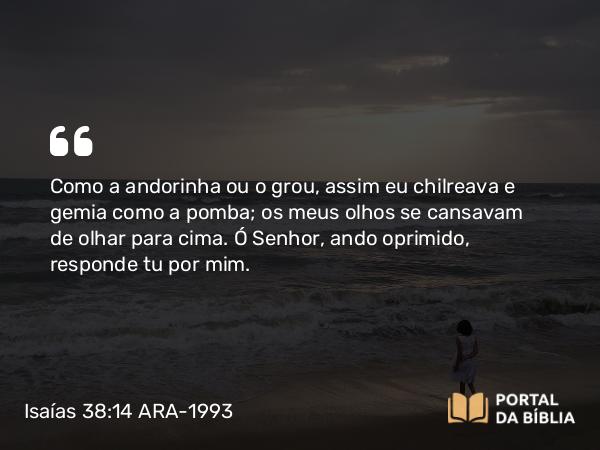 Isaías 38:14 ARA-1993 - Como a andorinha ou o grou, assim eu chilreava e gemia como a pomba; os meus olhos se cansavam de olhar para cima. Ó Senhor, ando oprimido, responde tu por mim.