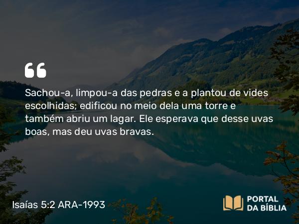 Isaías 5:2 ARA-1993 - Sachou-a, limpou-a das pedras e a plantou de vides escolhidas; edificou no meio dela uma torre e também abriu um lagar. Ele esperava que desse uvas boas, mas deu uvas bravas.