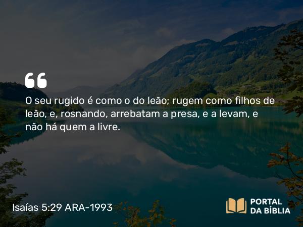 Isaías 5:29 ARA-1993 - O seu rugido é como o do leão; rugem como filhos de leão, e, rosnando, arrebatam a presa, e a levam, e não há quem a livre.