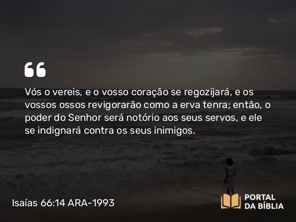 Isaías 66:14 ARA-1993 - Vós o vereis, e o vosso coração se regozijará, e os vossos ossos revigorarão como a erva tenra; então, o poder do Senhor será notório aos seus servos, e ele se indignará contra os seus inimigos.