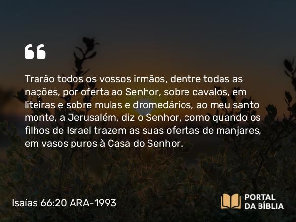 Isaías 66:20 ARA-1993 - Trarão todos os vossos irmãos, dentre todas as nações, por oferta ao Senhor, sobre cavalos, em liteiras e sobre mulas e dromedários, ao meu santo monte, a Jerusalém, diz o Senhor, como quando os filhos de Israel trazem as suas ofertas de manjares, em vasos puros à Casa do Senhor.