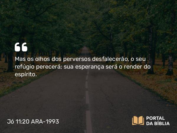 Jó 11:20 ARA-1993 - Mas os olhos dos perversos desfalecerão, o seu refúgio perecerá; sua esperança será o render do espírito.