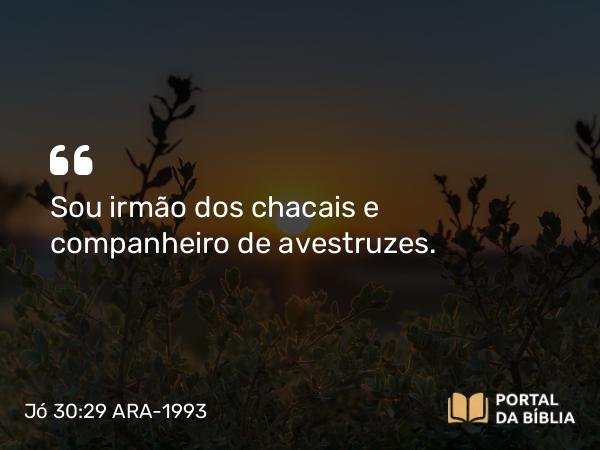 Jó 30:29 ARA-1993 - Sou irmão dos chacais e companheiro de avestruzes.