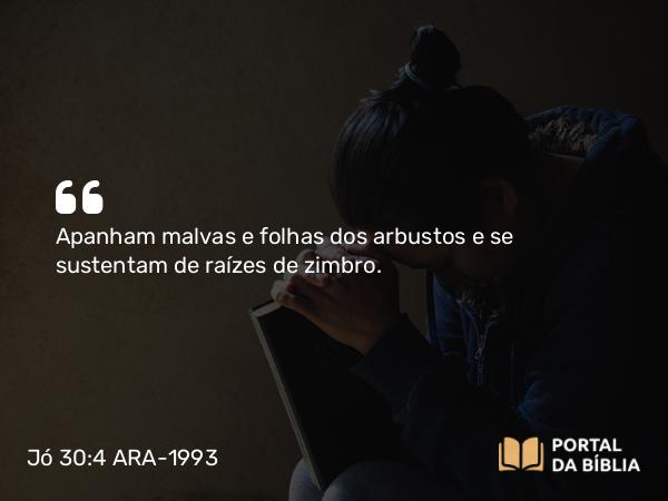 Jó 30:4 ARA-1993 - Apanham malvas e folhas dos arbustos e se sustentam de raízes de zimbro.