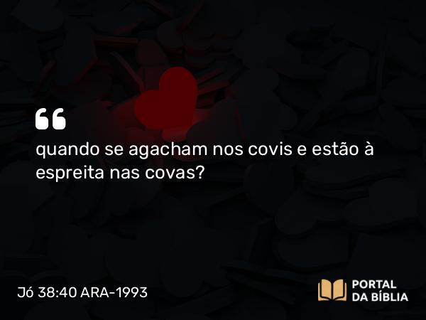 Jó 38:40 ARA-1993 - quando se agacham nos covis e estão à espreita nas covas?