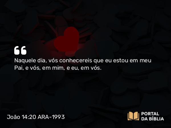 João 14:20 ARA-1993 - Naquele dia, vós conhecereis que eu estou em meu Pai, e vós, em mim, e eu, em vós.