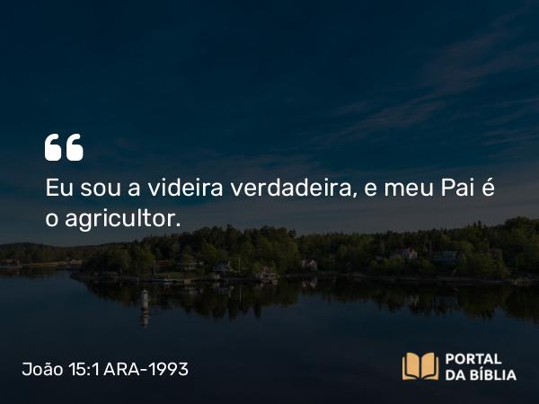 João 15:1 ARA-1993 - Eu sou a videira verdadeira, e meu Pai é o agricultor.