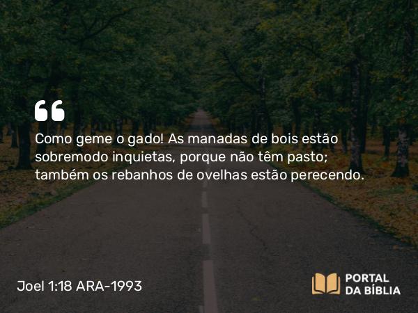 Joel 1:18 ARA-1993 - Como geme o gado! As manadas de bois estão sobremodo inquietas, porque não têm pasto; também os rebanhos de ovelhas estão perecendo.