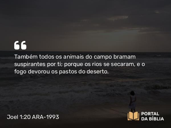 Joel 1:20 ARA-1993 - Também todos os animais do campo bramam suspirantes por ti; porque os rios se secaram, e o fogo devorou os pastos do deserto.