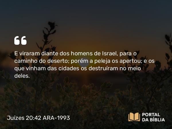 Juízes 20:42 ARA-1993 - E viraram diante dos homens de Israel, para o caminho do deserto; porém a peleja os apertou; e os que vinham das cidades os destruíram no meio deles.