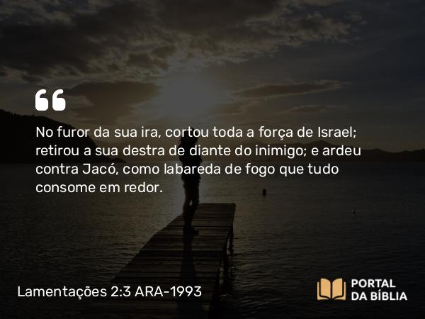 Lamentações 2:3 ARA-1993 - No furor da sua ira, cortou toda a força de Israel; retirou a sua destra de diante do inimigo; e ardeu contra Jacó, como labareda de fogo que tudo consome em redor.