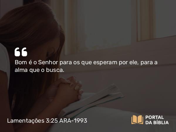 Lamentações 3:25 ARA-1993 - Bom é o Senhor para os que esperam por ele, para a alma que o busca.