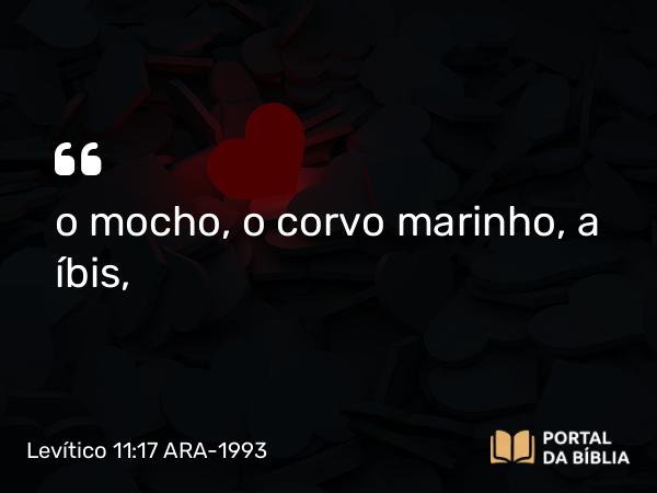 Levítico 11:17 ARA-1993 - o mocho, o corvo marinho, a íbis,