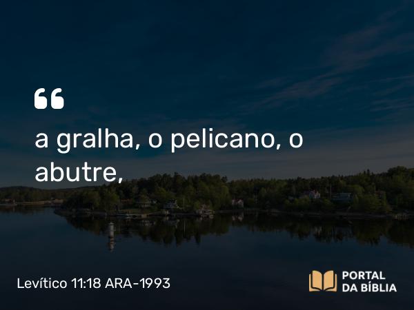 Levítico 11:18 ARA-1993 - a gralha, o pelicano, o abutre,